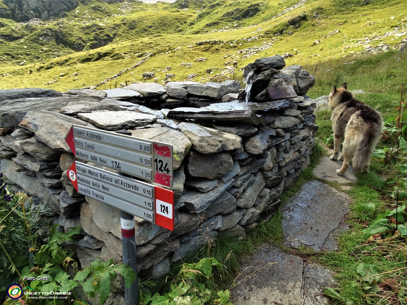 82 Dal Bivacco Zamboni (2007 m) ci abbassiamo al Rifugio Balicco (1995 m).JPG